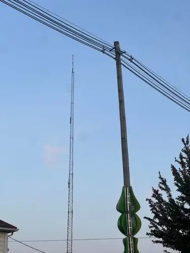 Signals soaring under a clear sky.